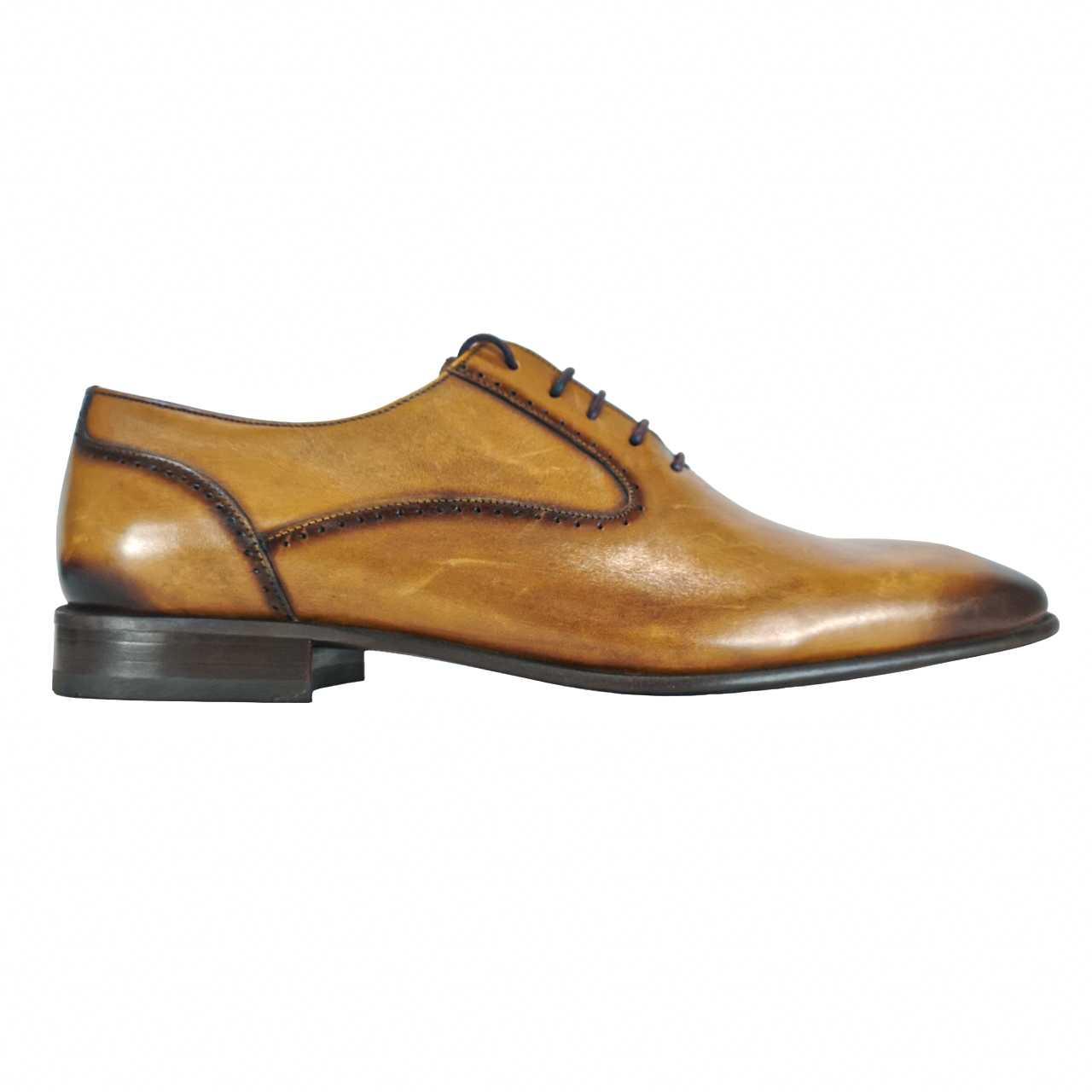 Calvano Tan Lace Up