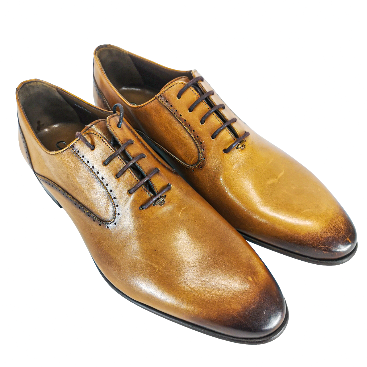 Calvano Tan Lace Up